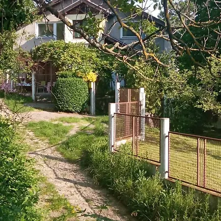 בית הארחה аpartman Elena