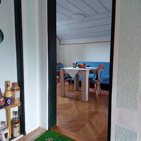 Guest house аpartman Elena Rakovac
