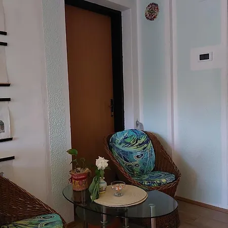 בית הארחה аpartman Elena *